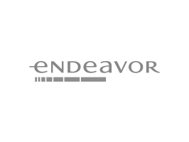 Endeavor